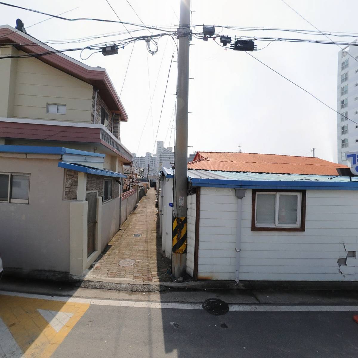 인셀덤 서영애_3