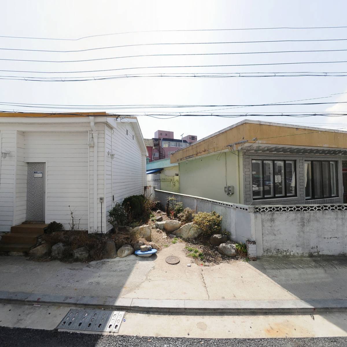 태오도어인터내셔널_3