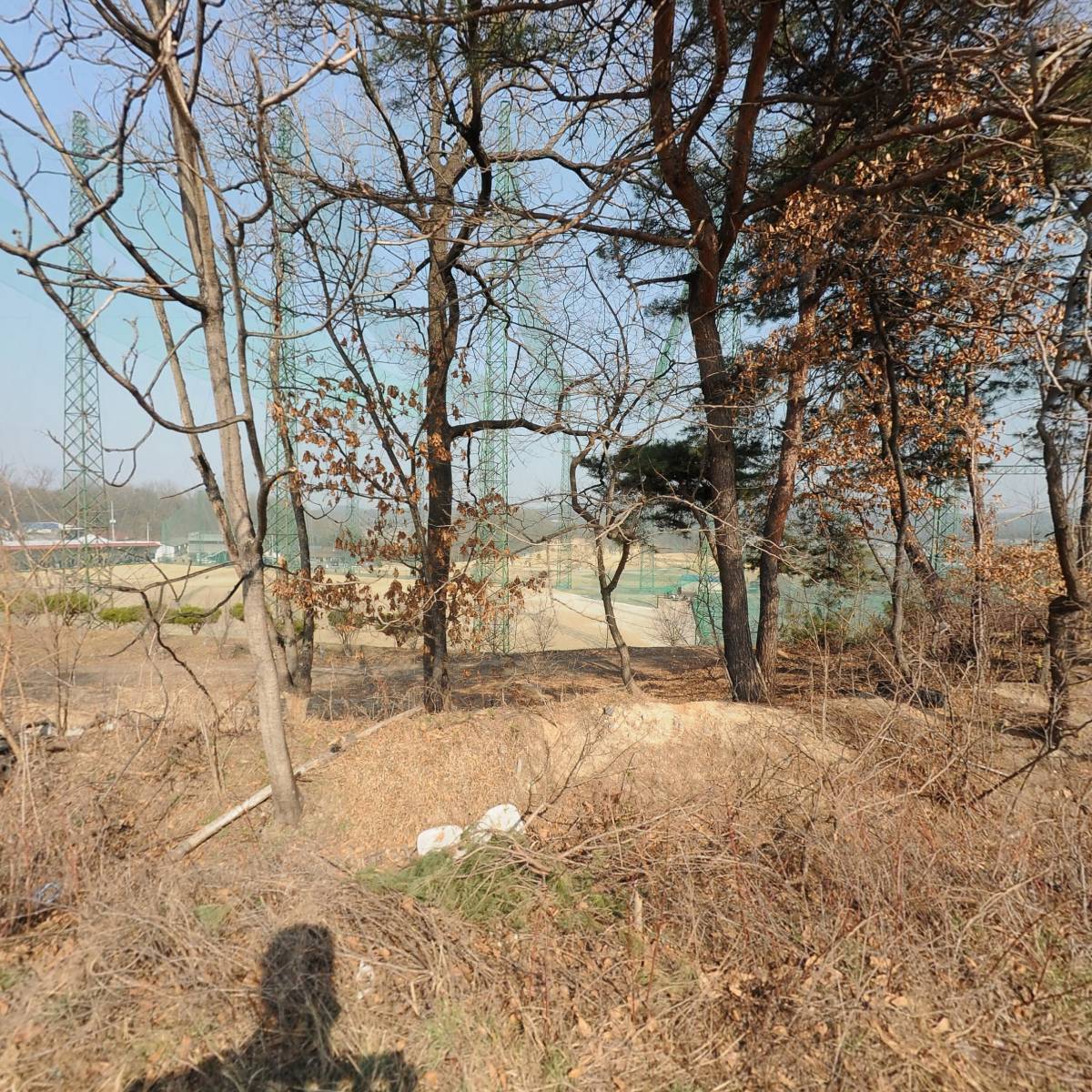 여주 금손 공인중개사 사무소