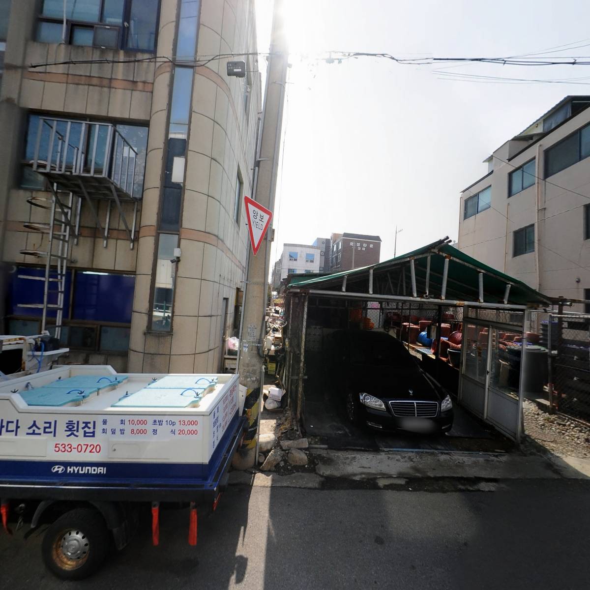 영산강장어