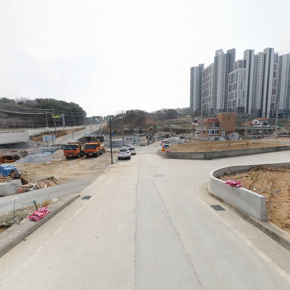 항골민물장어_2