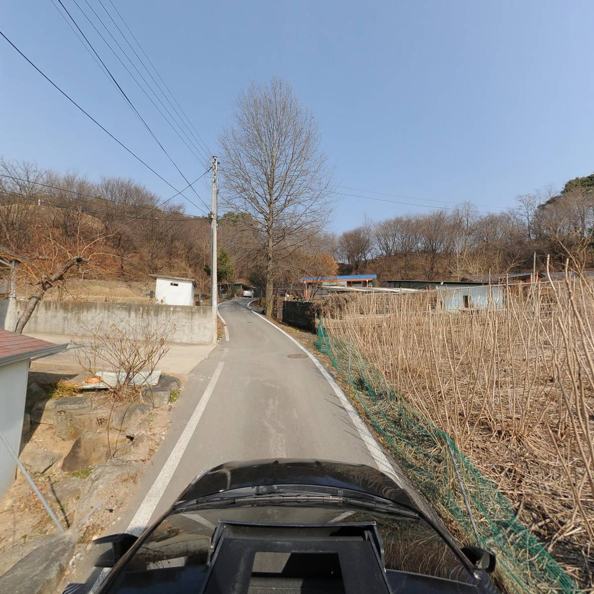 인삼의미래 영농조합법인 (GNF)_4