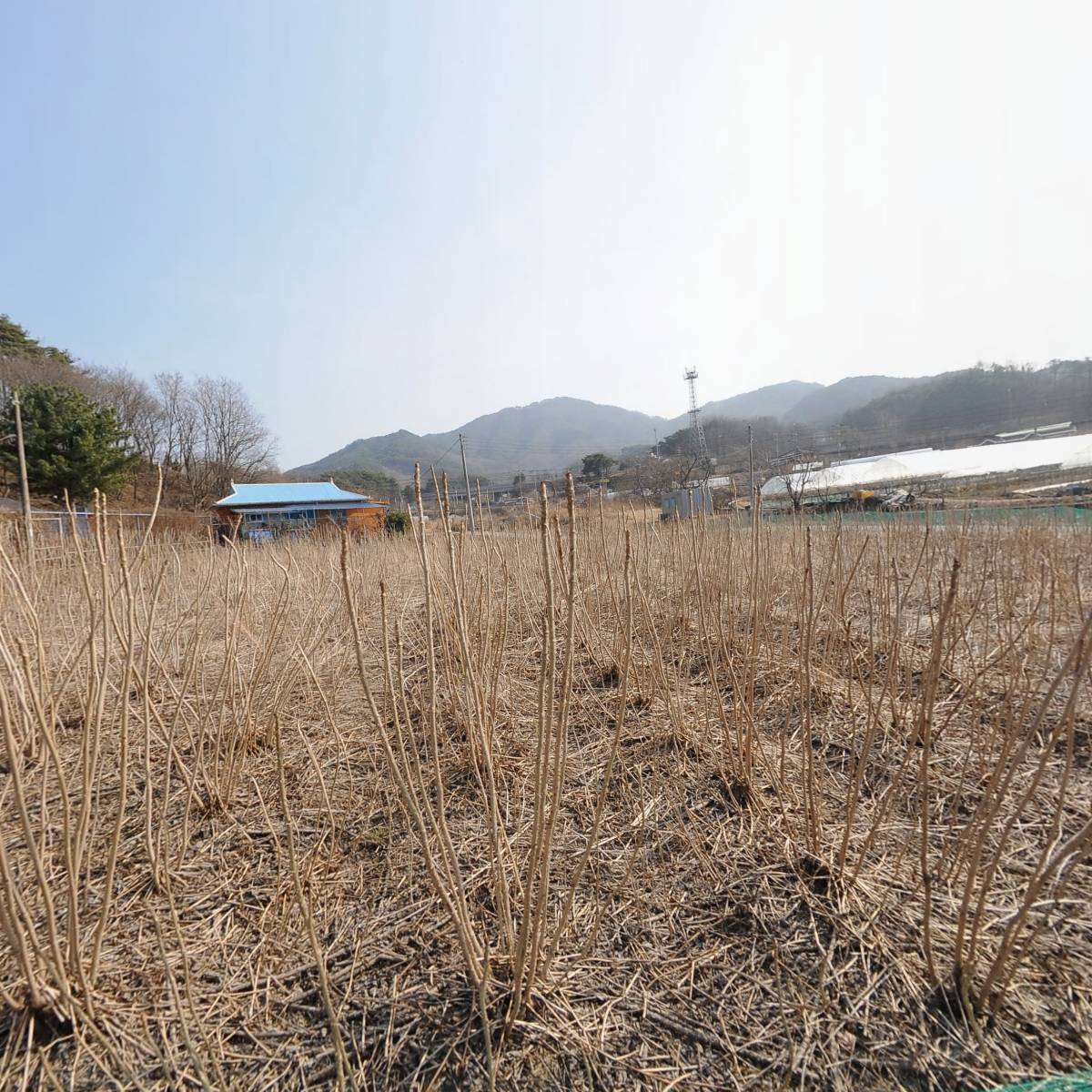 인삼의미래 영농조합법인 (GNF)