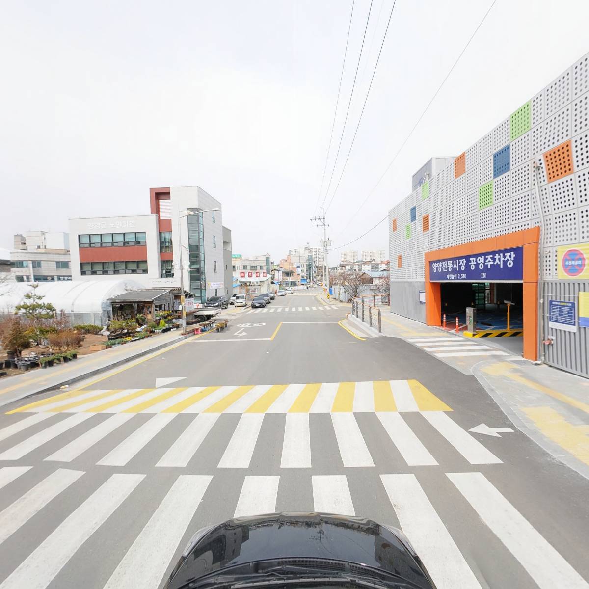 놀자대게_4