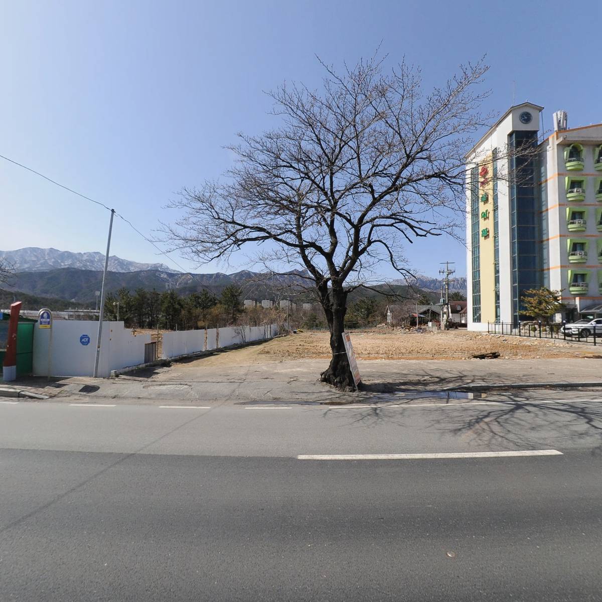 순자집곰치국_3