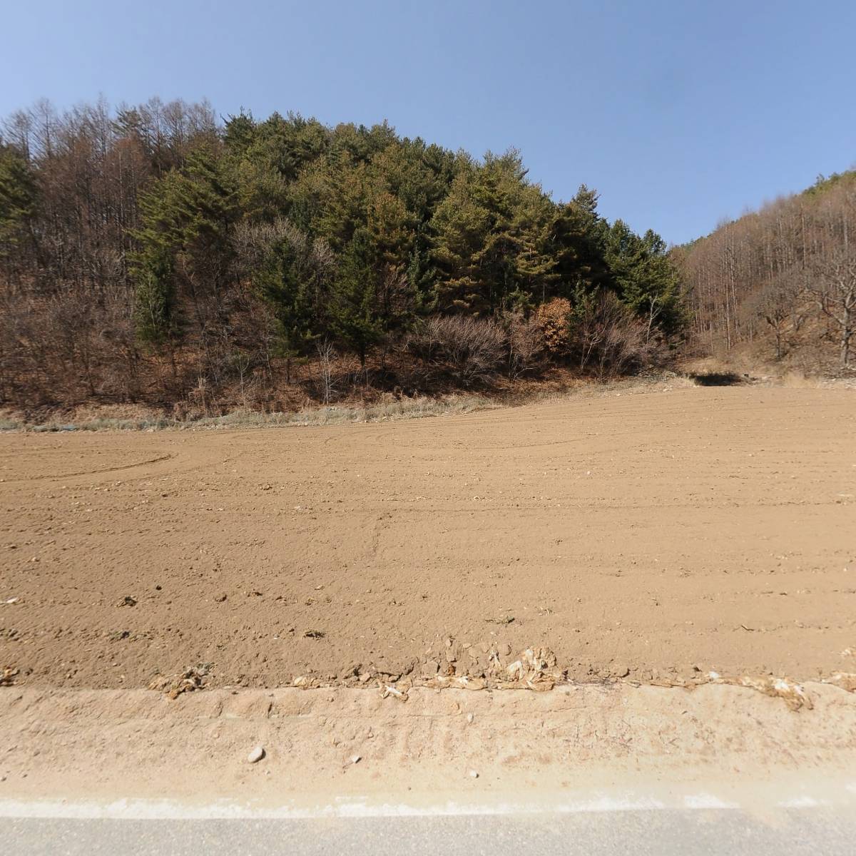 산들애_3