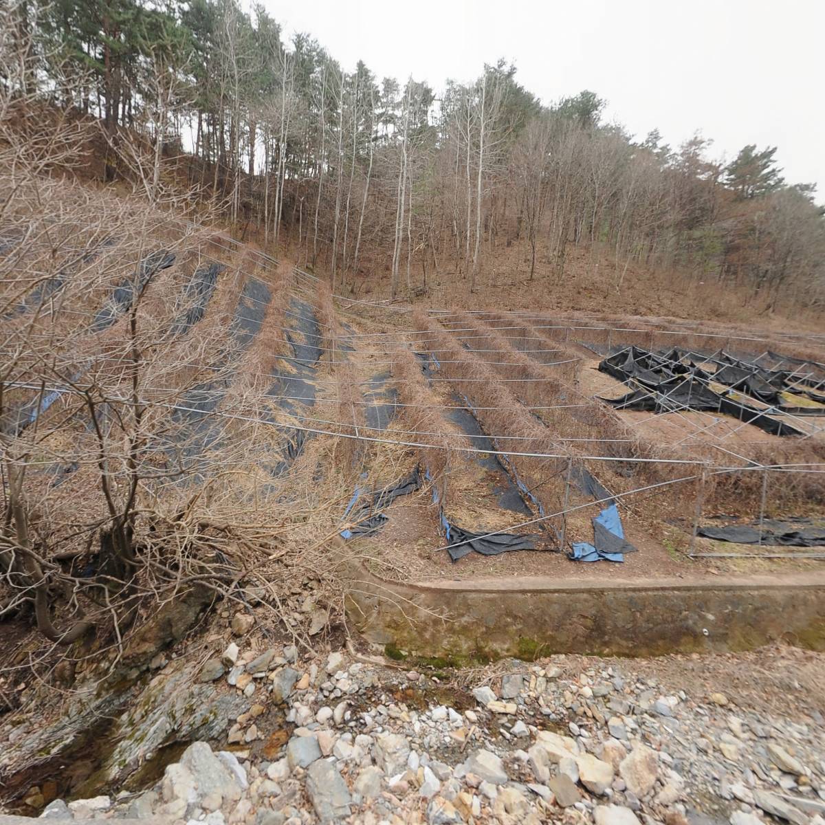 미로면 이장단협의회_3