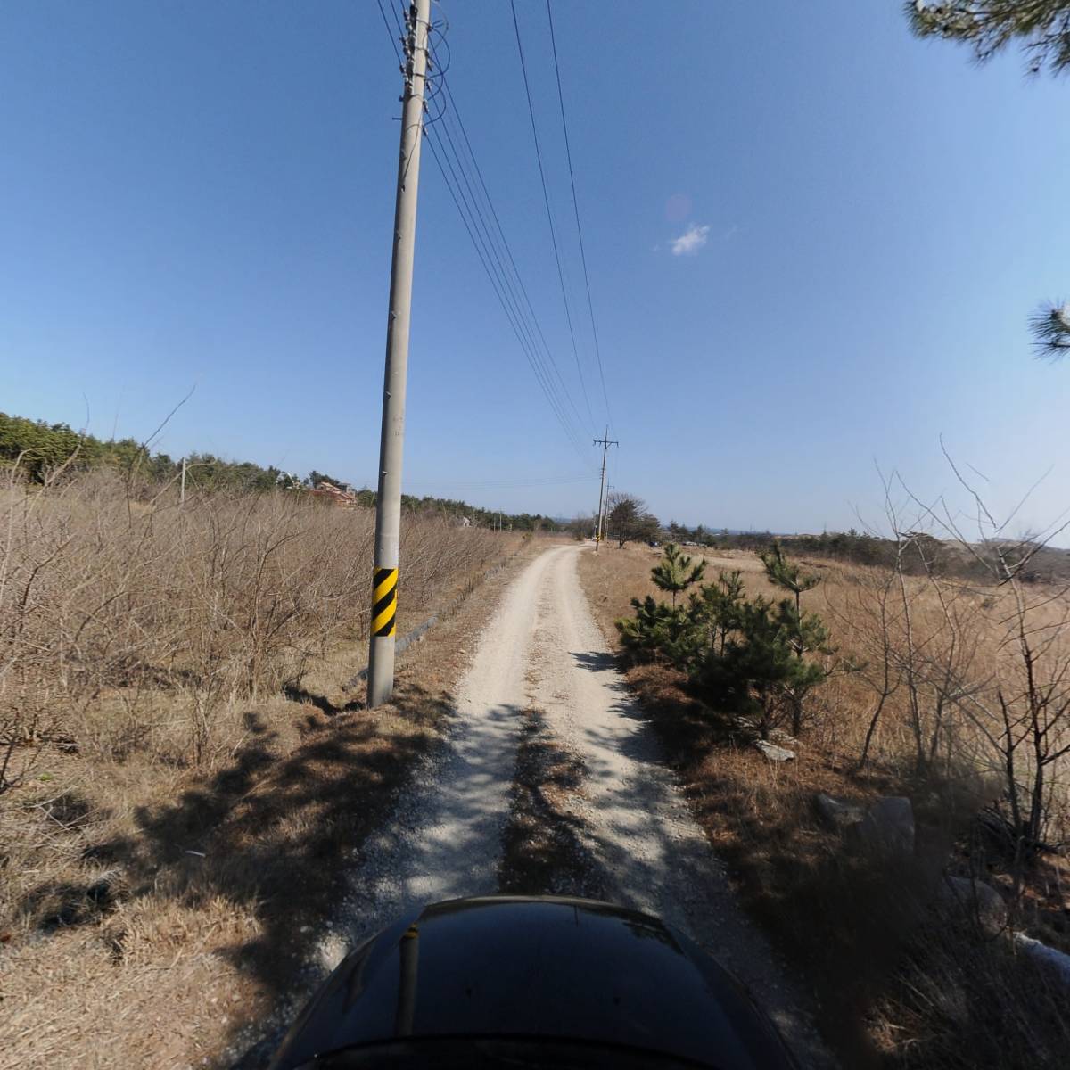 영농조합법인 고성꾸지뽕_4