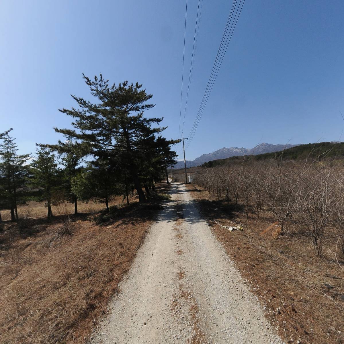 영농조합법인 고성꾸지뽕_2