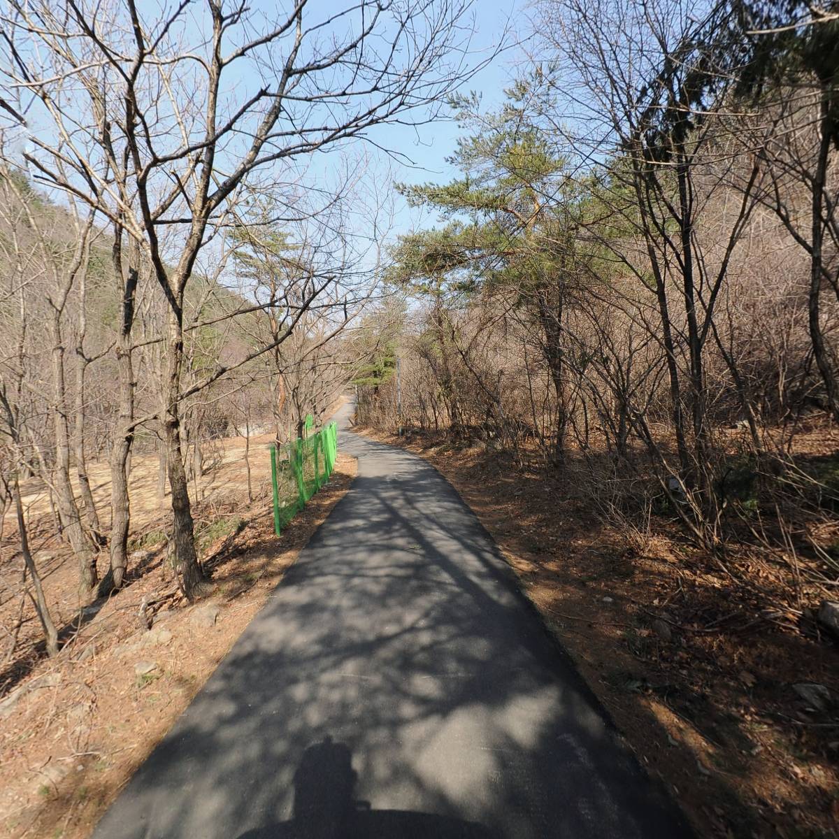 양양 버들골농장_2