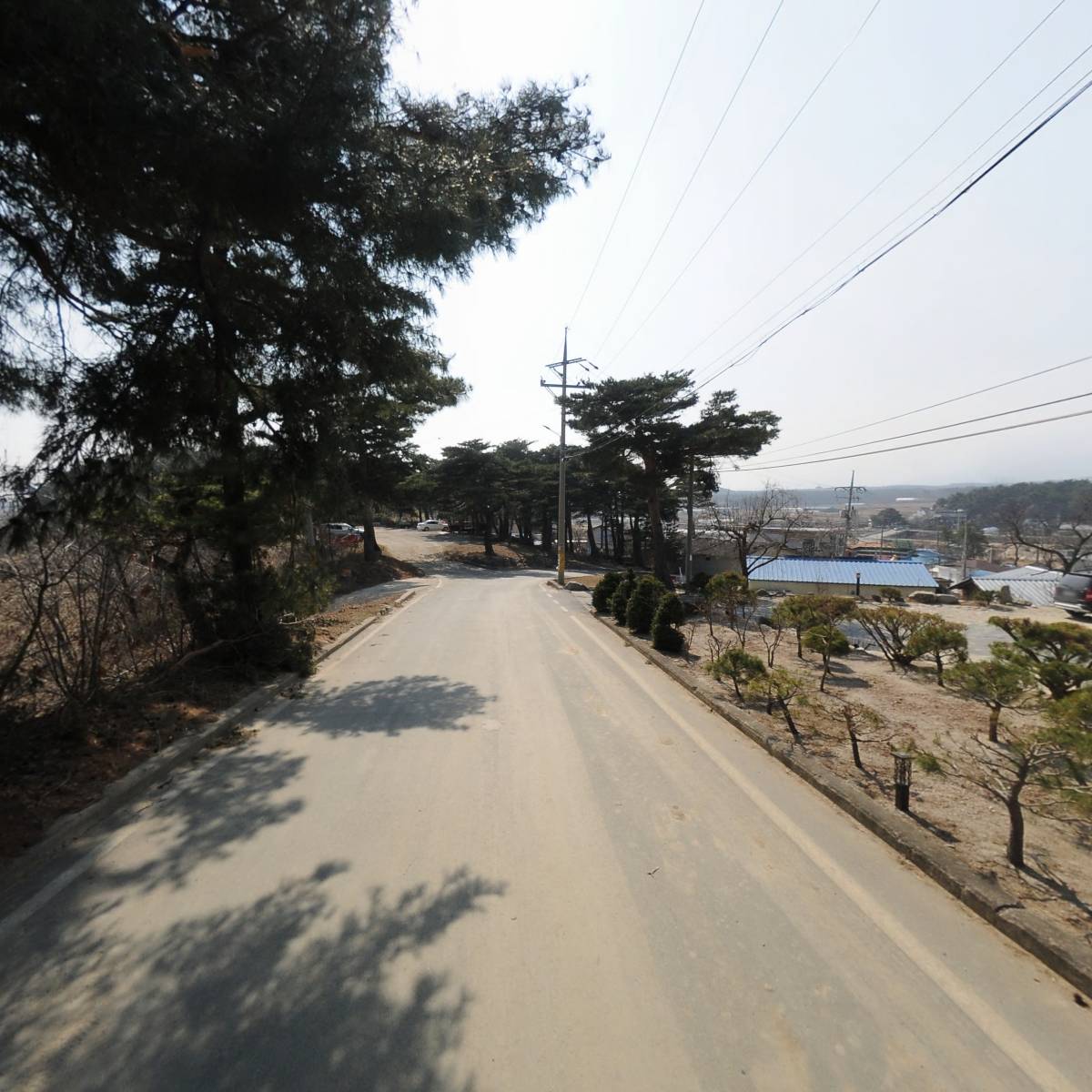 팜랩 맘대로_2
