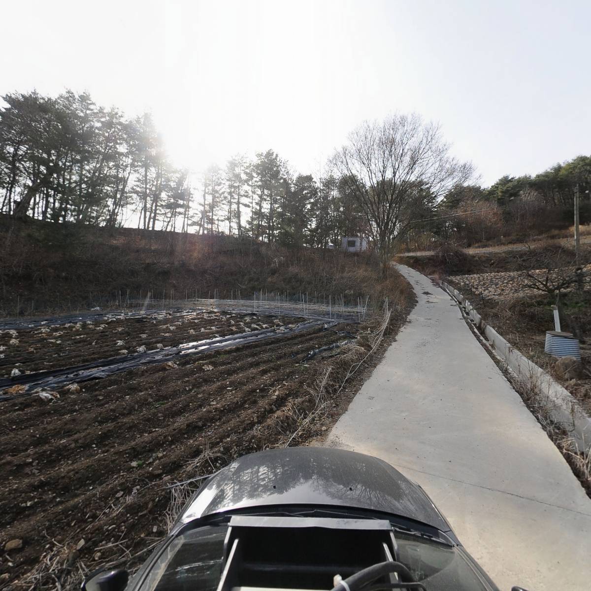 강원평창산양산삼영농조합법인_4