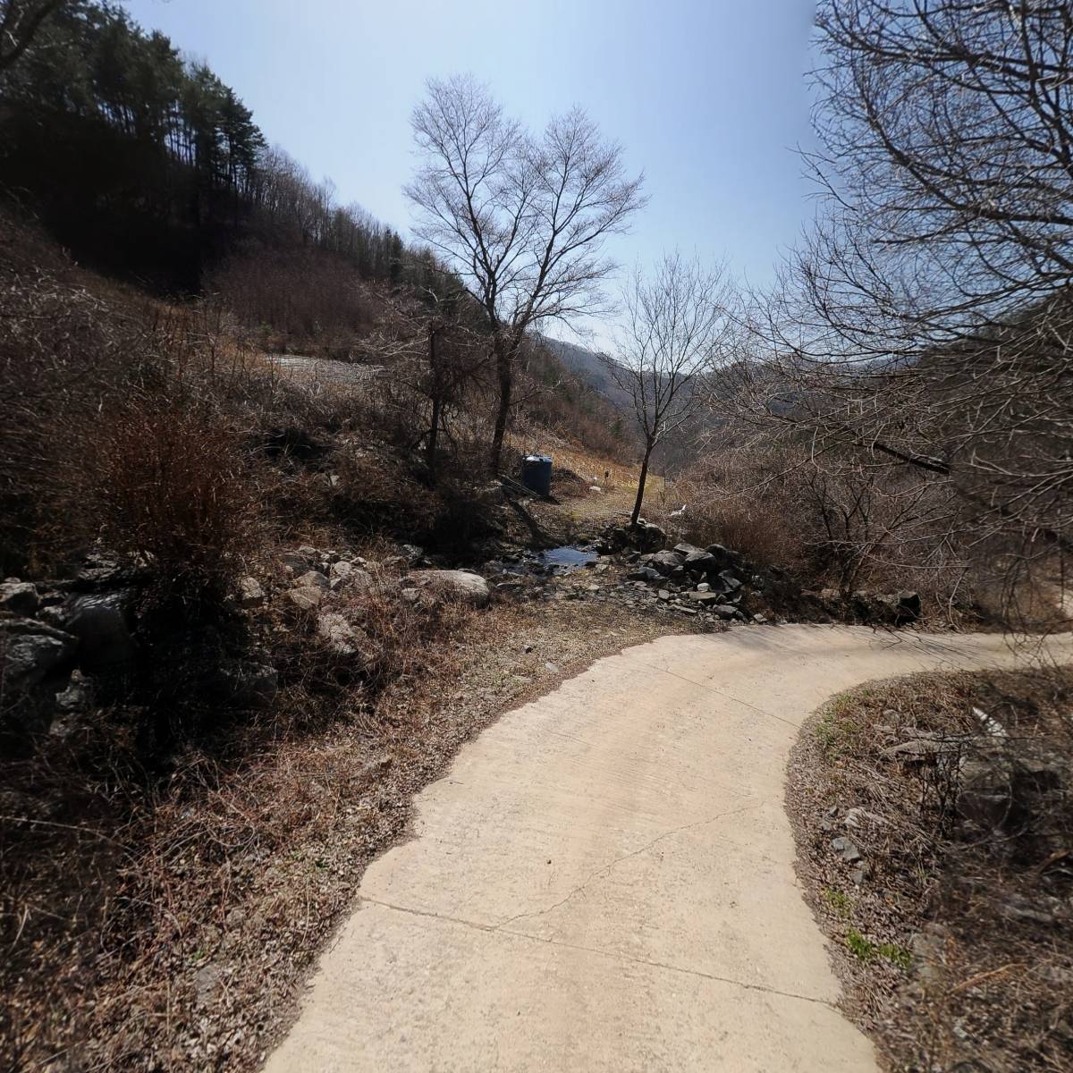 다파르_2