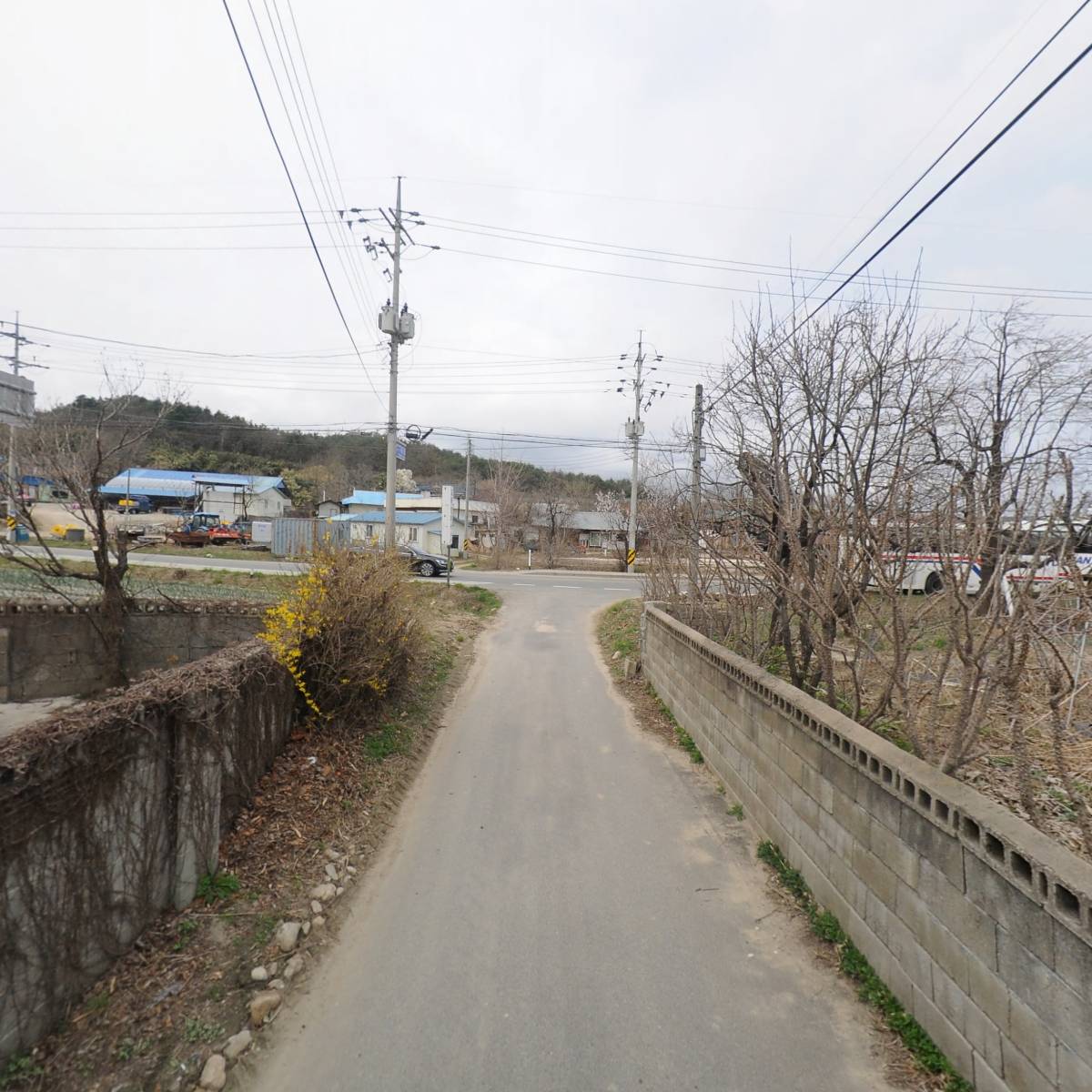 간성장의사_2