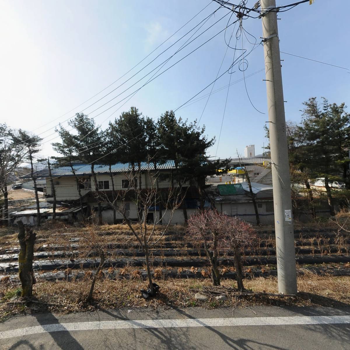 용평주유소