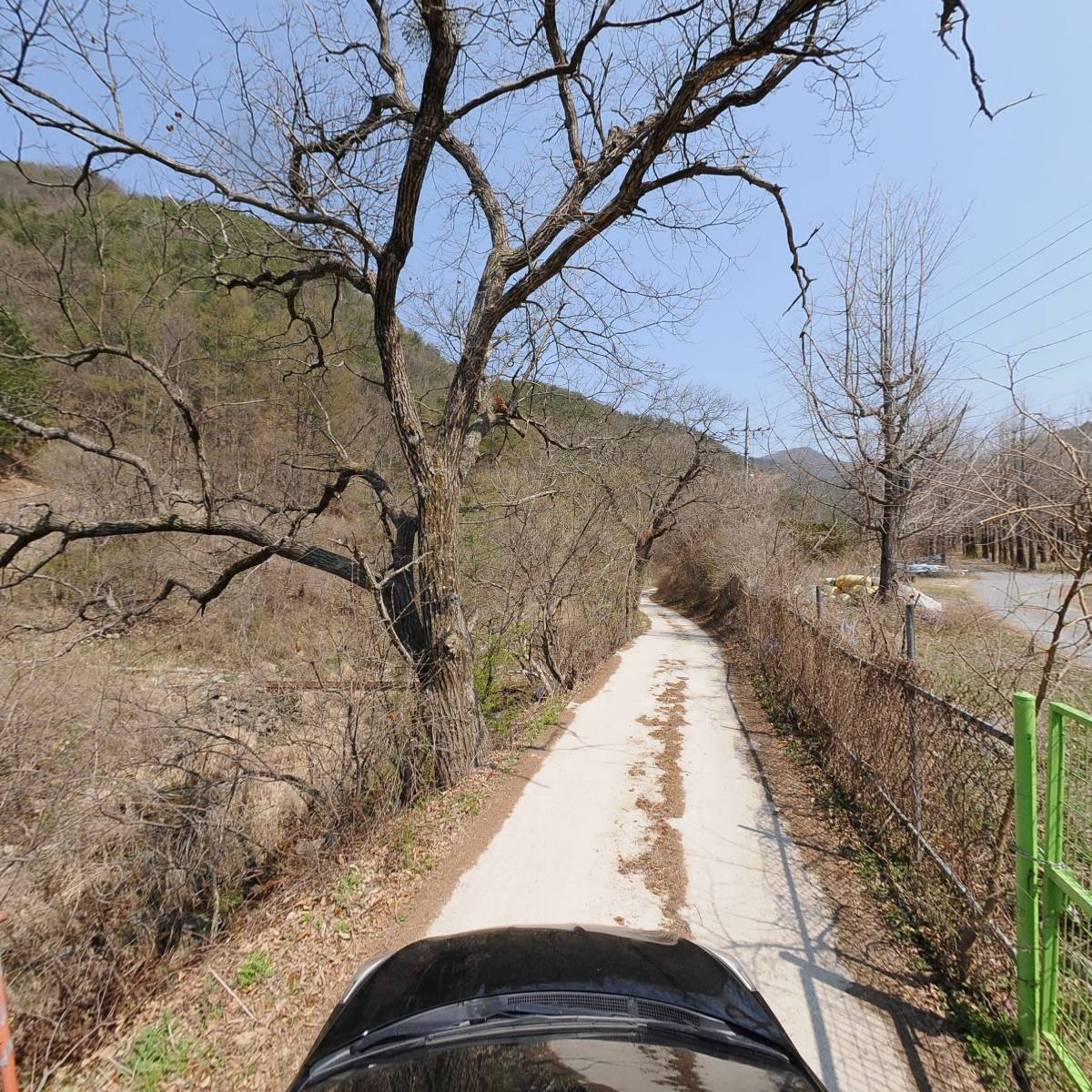 승지골 산양삼 산양산삼 장뇌삼 벌꿀 화분 산삼_4