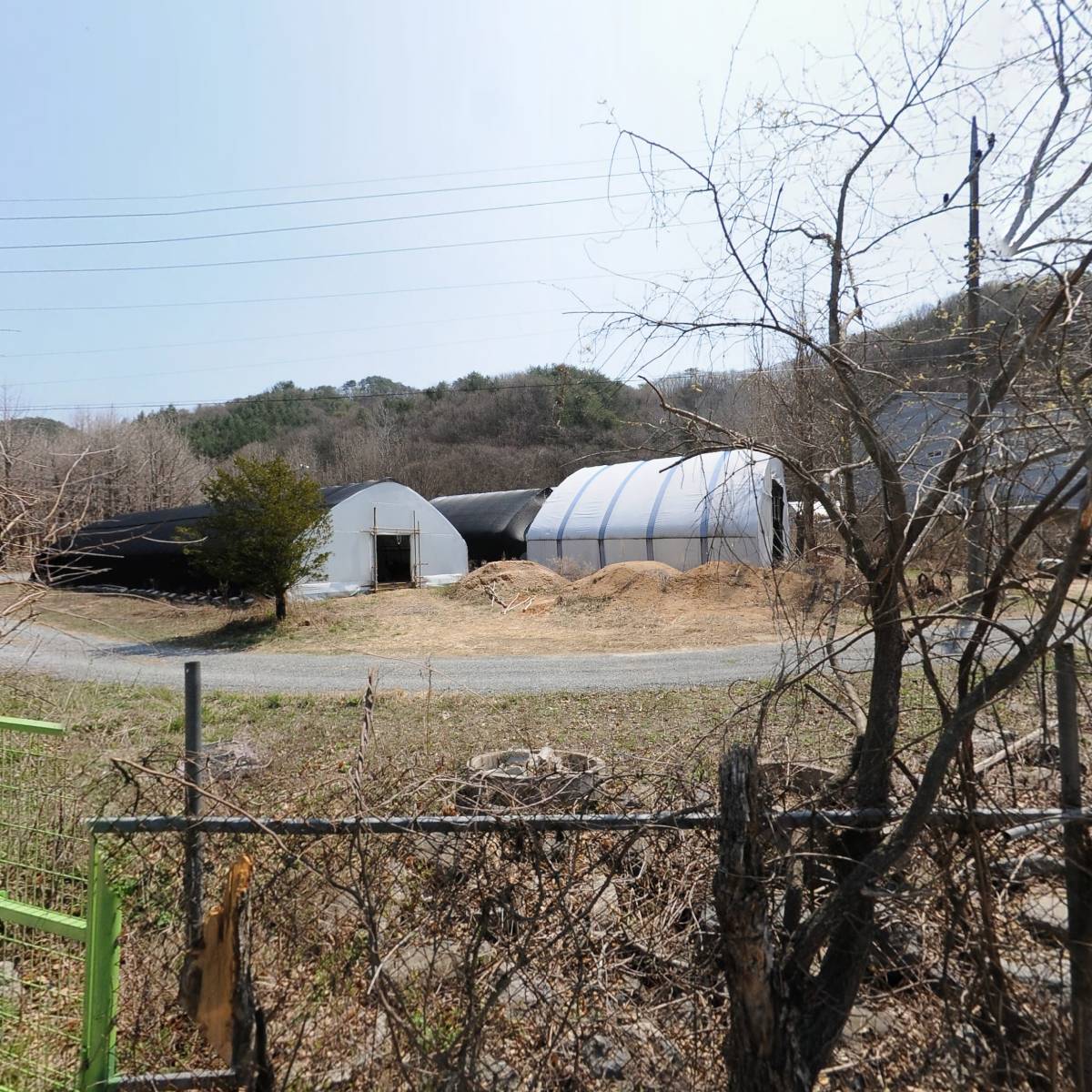 승지골 산양삼 산양산삼 장뇌삼 벌꿀 화분 산삼