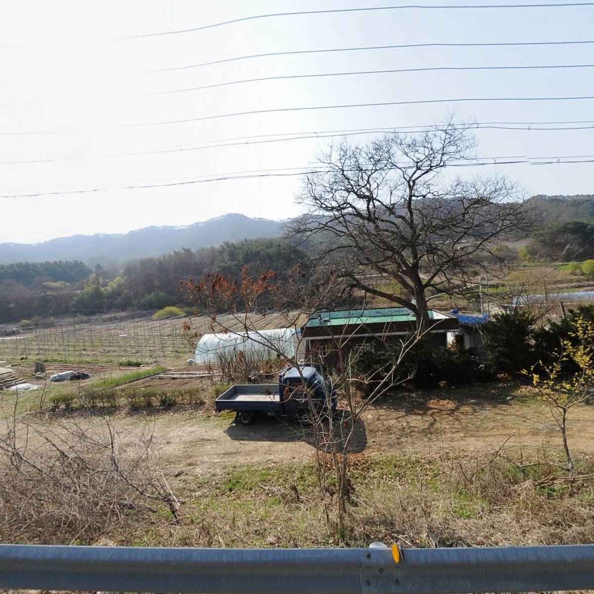 포레스트밸리