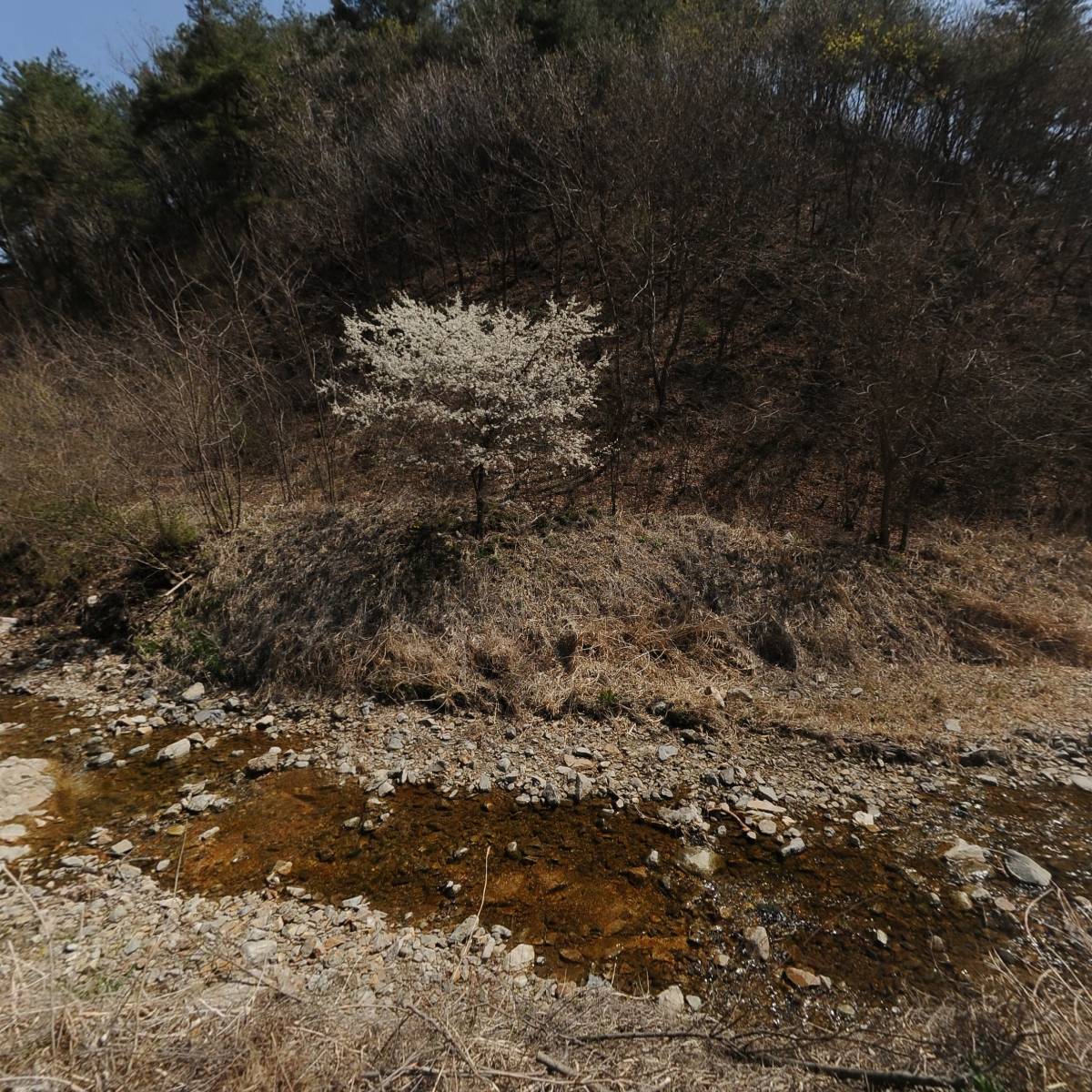 숲과함께 협동조합