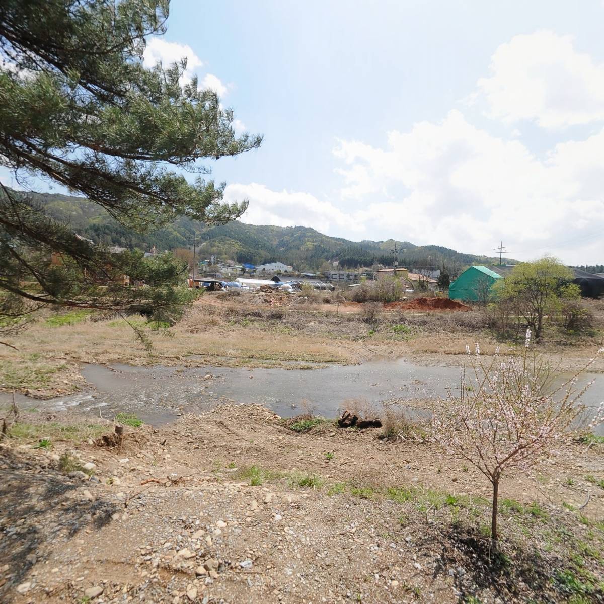 오안초등학교 총동문회