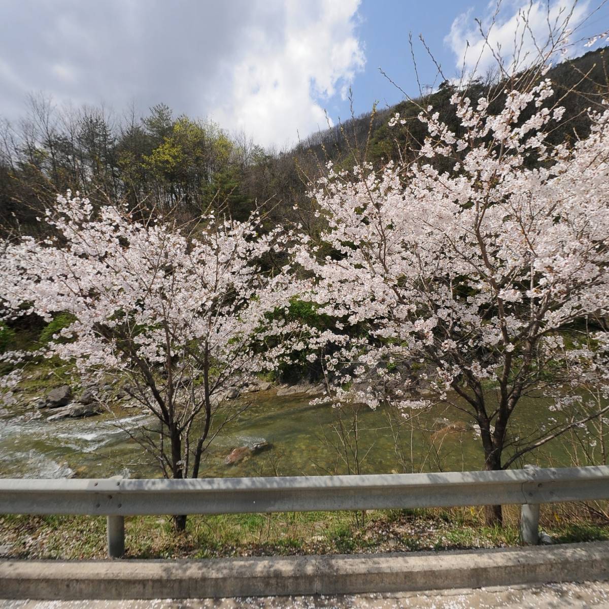 （사） 대한노인회 미탄면 한탄리 노인회