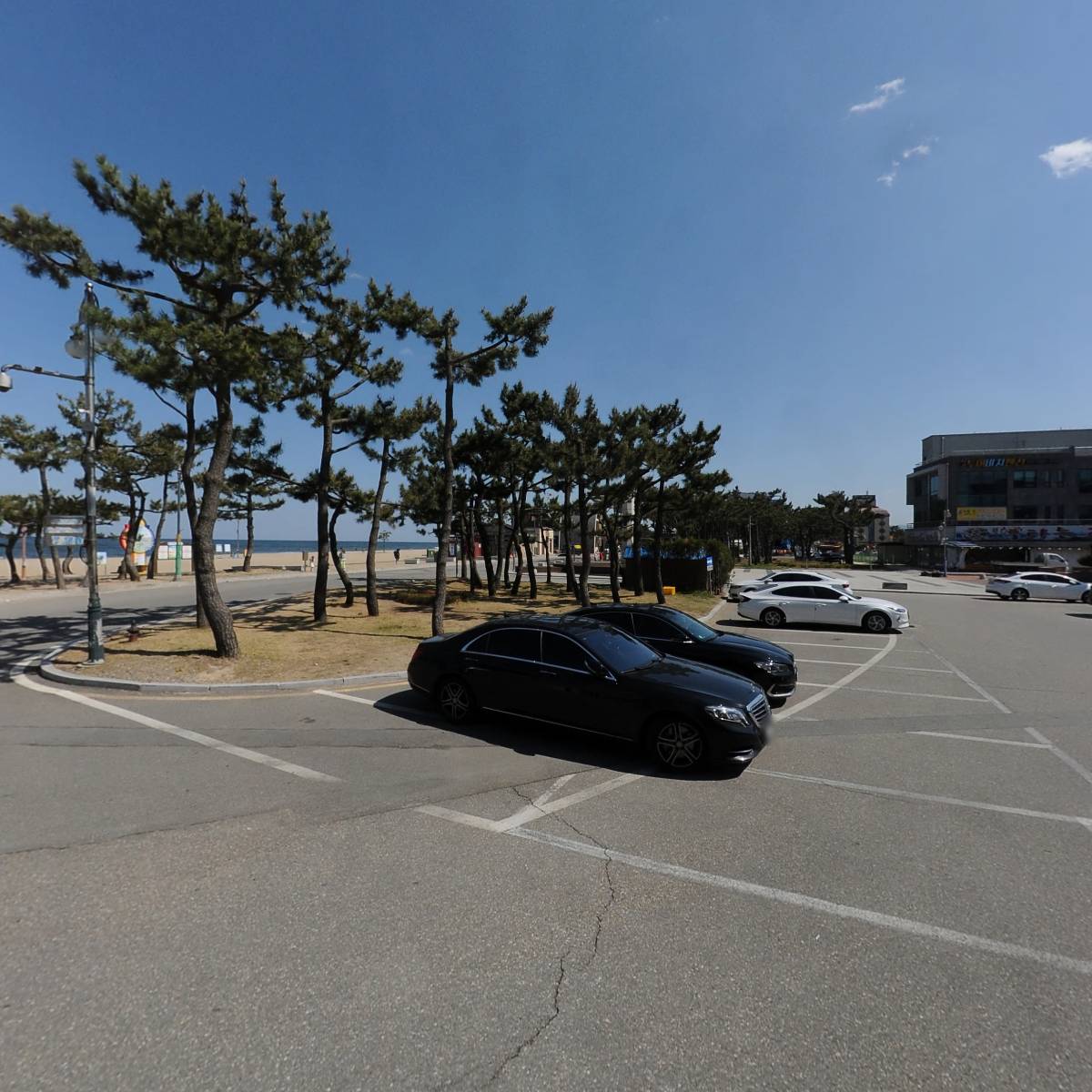 산토니아_3