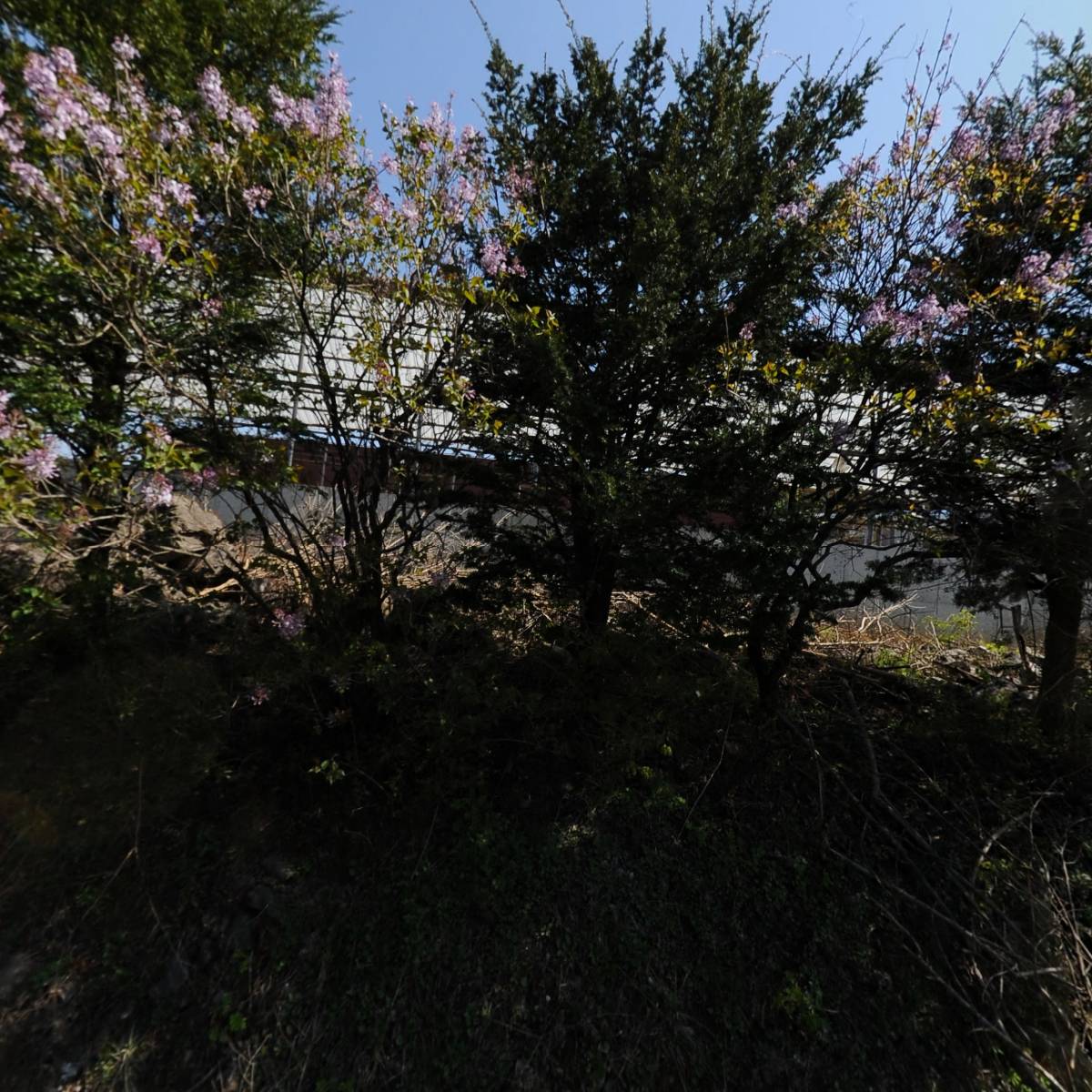 주식회사 우드코리아_3