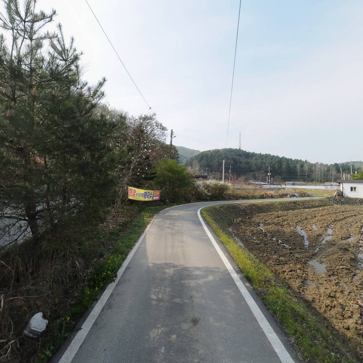마옥막국수논가운데집_2