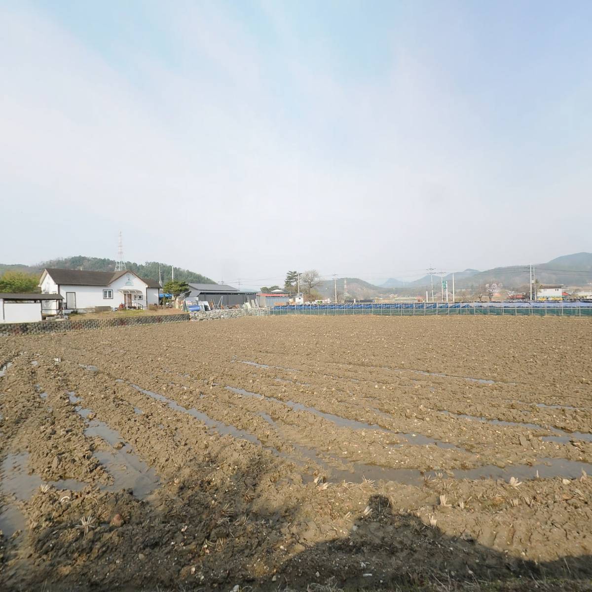 마옥막국수논가운데집_3