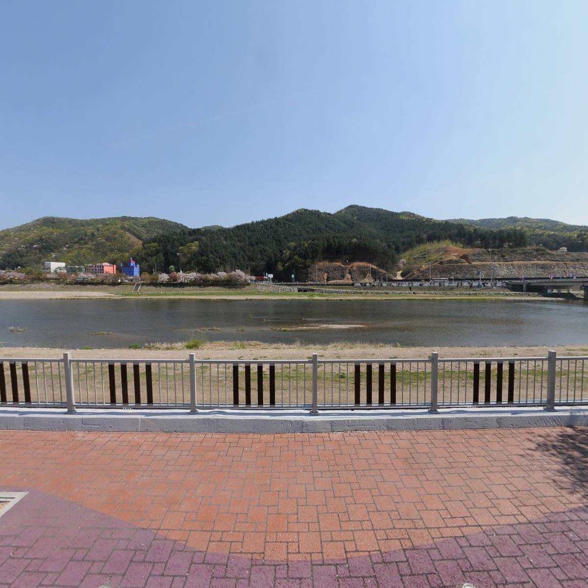 알파핏