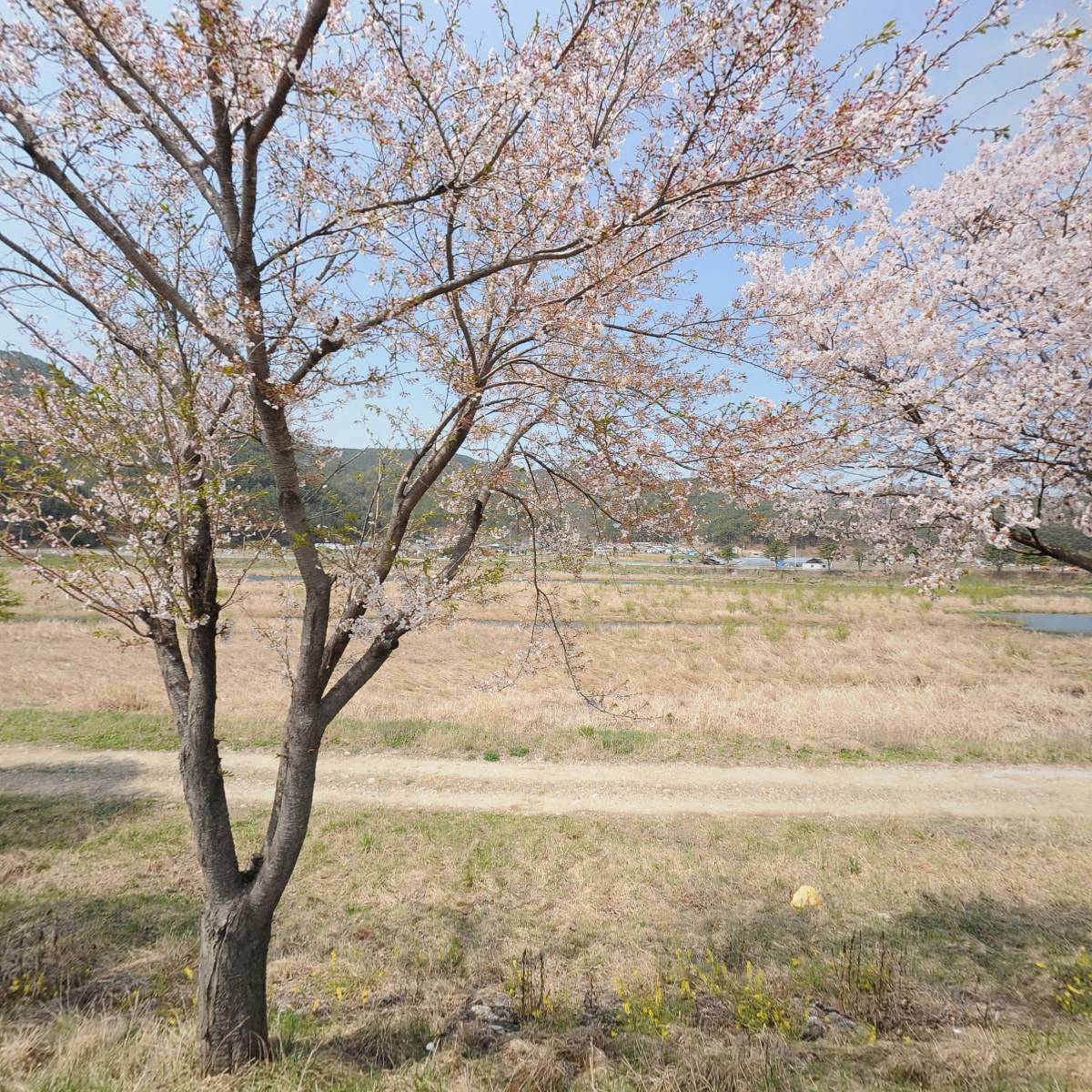 광성전기공사_3