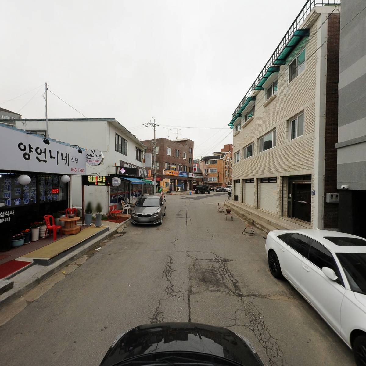 주디팜스_4