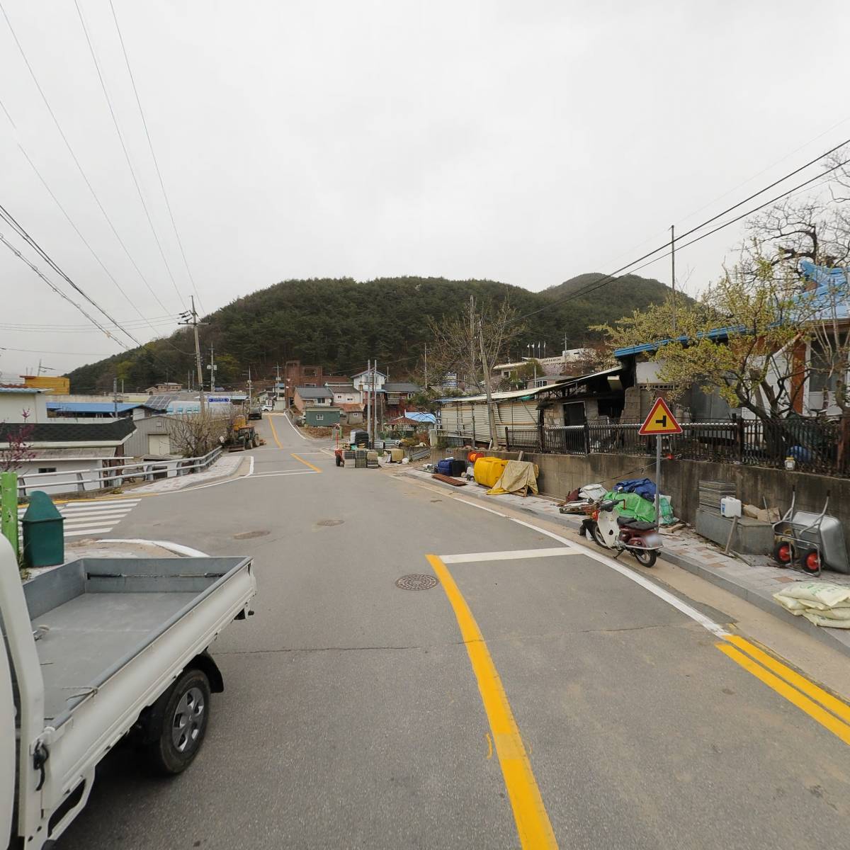 인제군토종벌_2