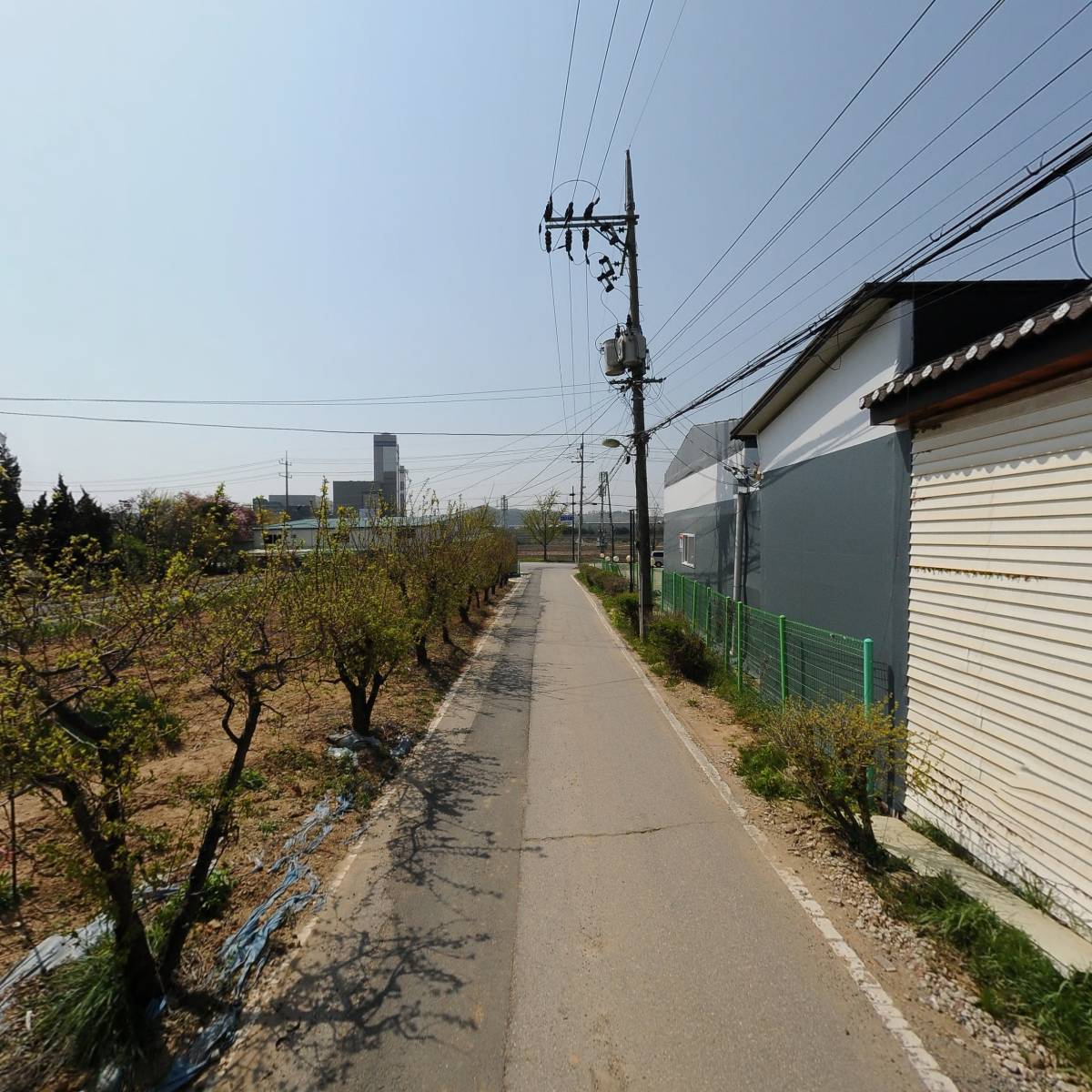 올소 문산점_2