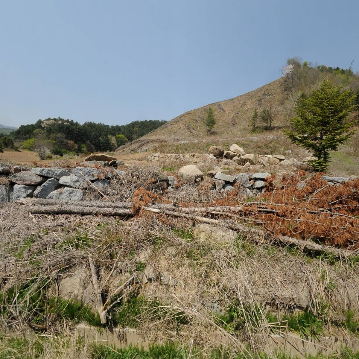 한국불교 불광종_3