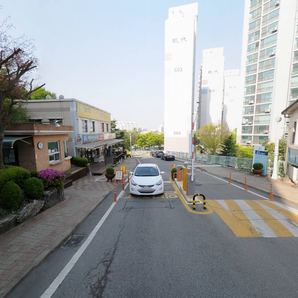 엠엘에스_2