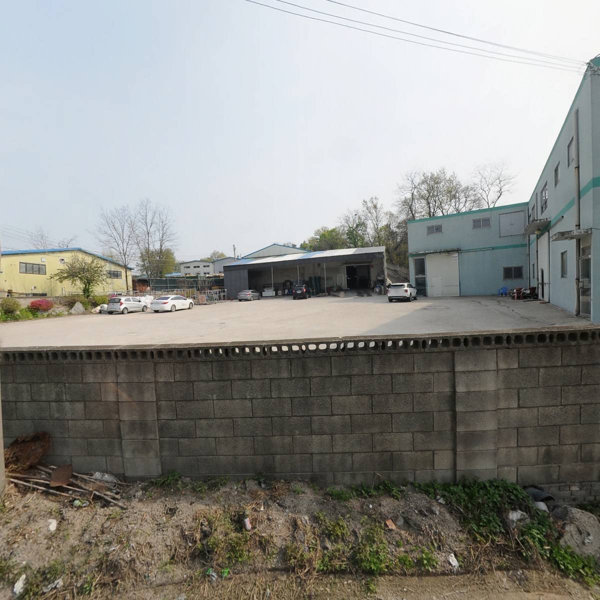 대덕메쉬