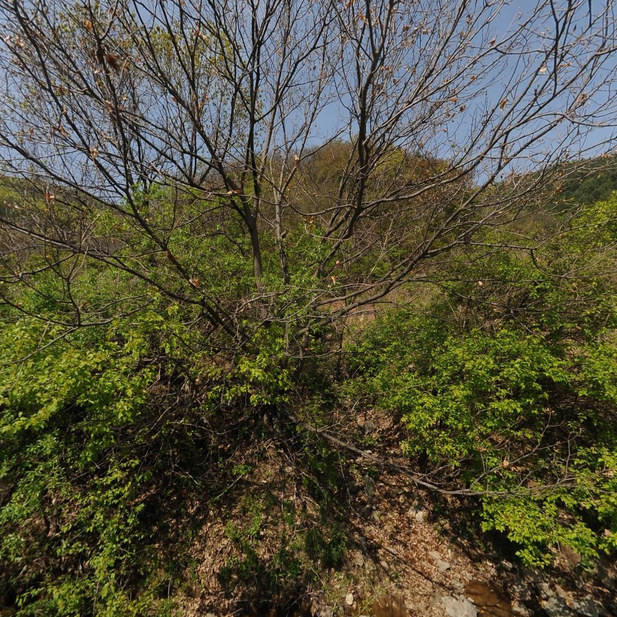 양평 전통주 연구회