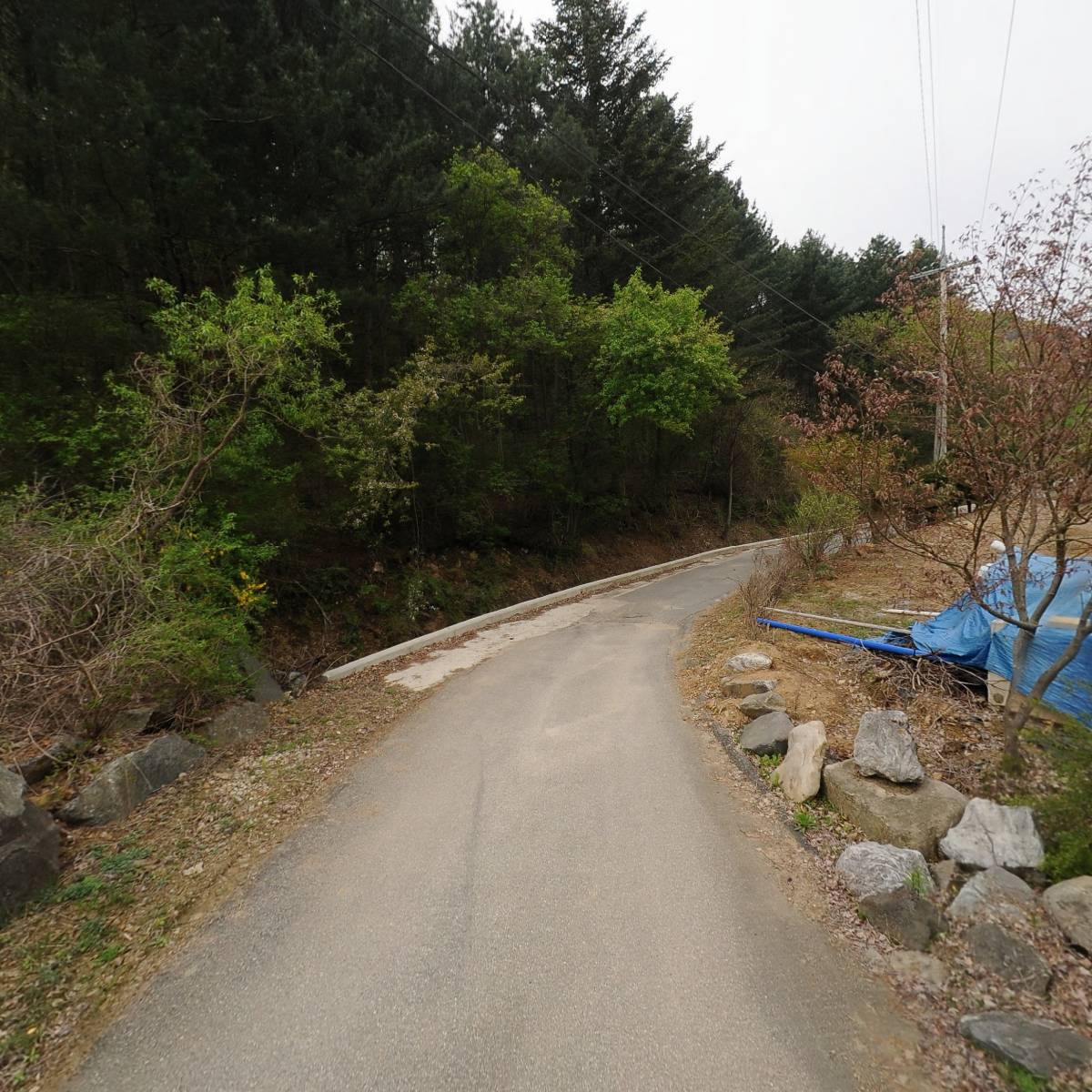 우리곤충연구소_2