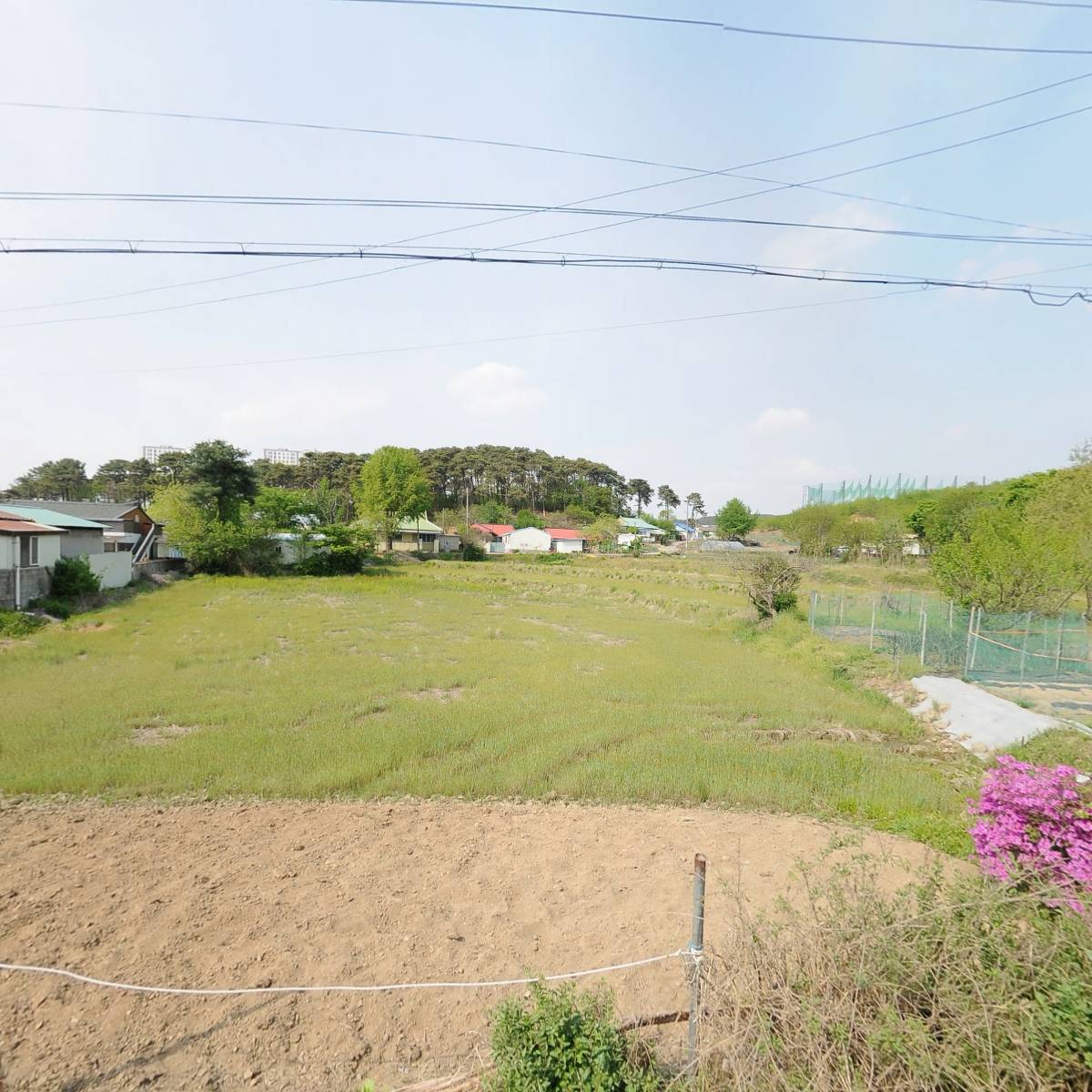 오산우드마켓_3