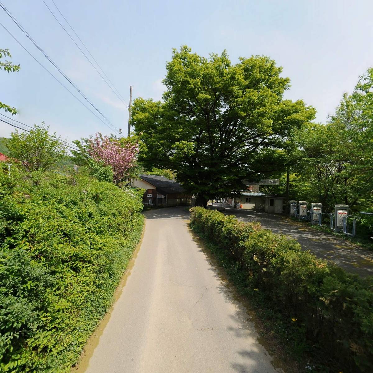 손영희 손글씨연구소_2