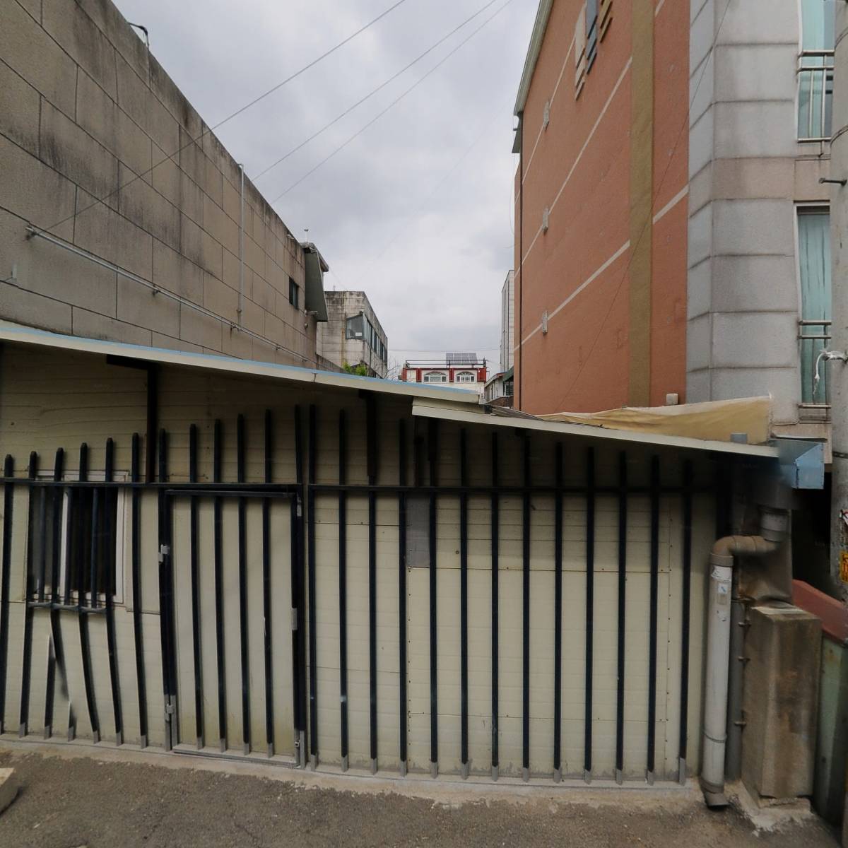 민물풍천장어 장어데이_3