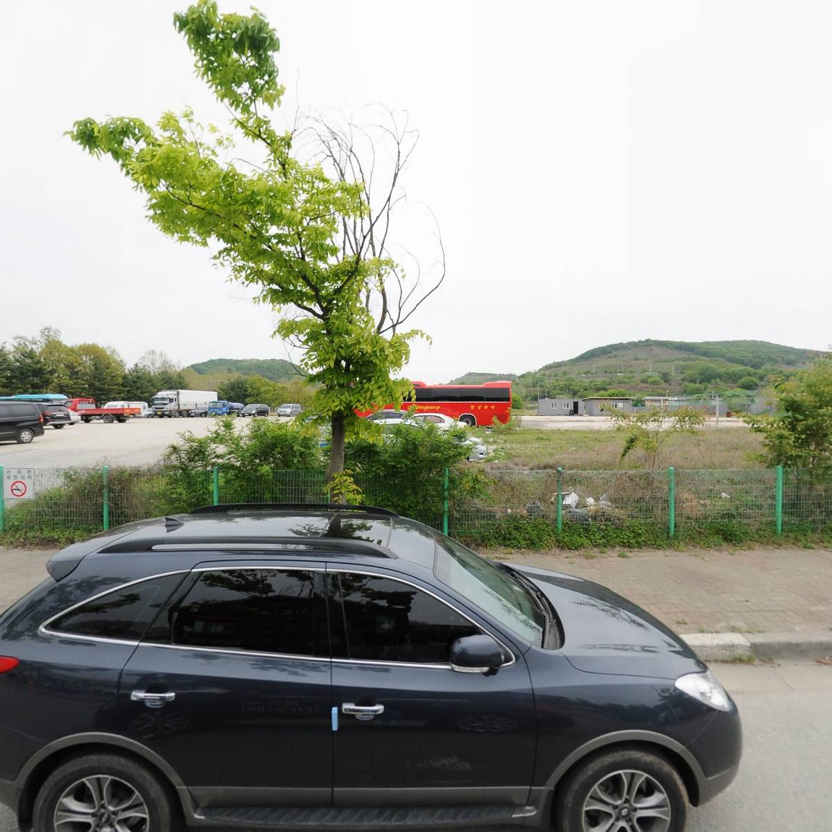 느루