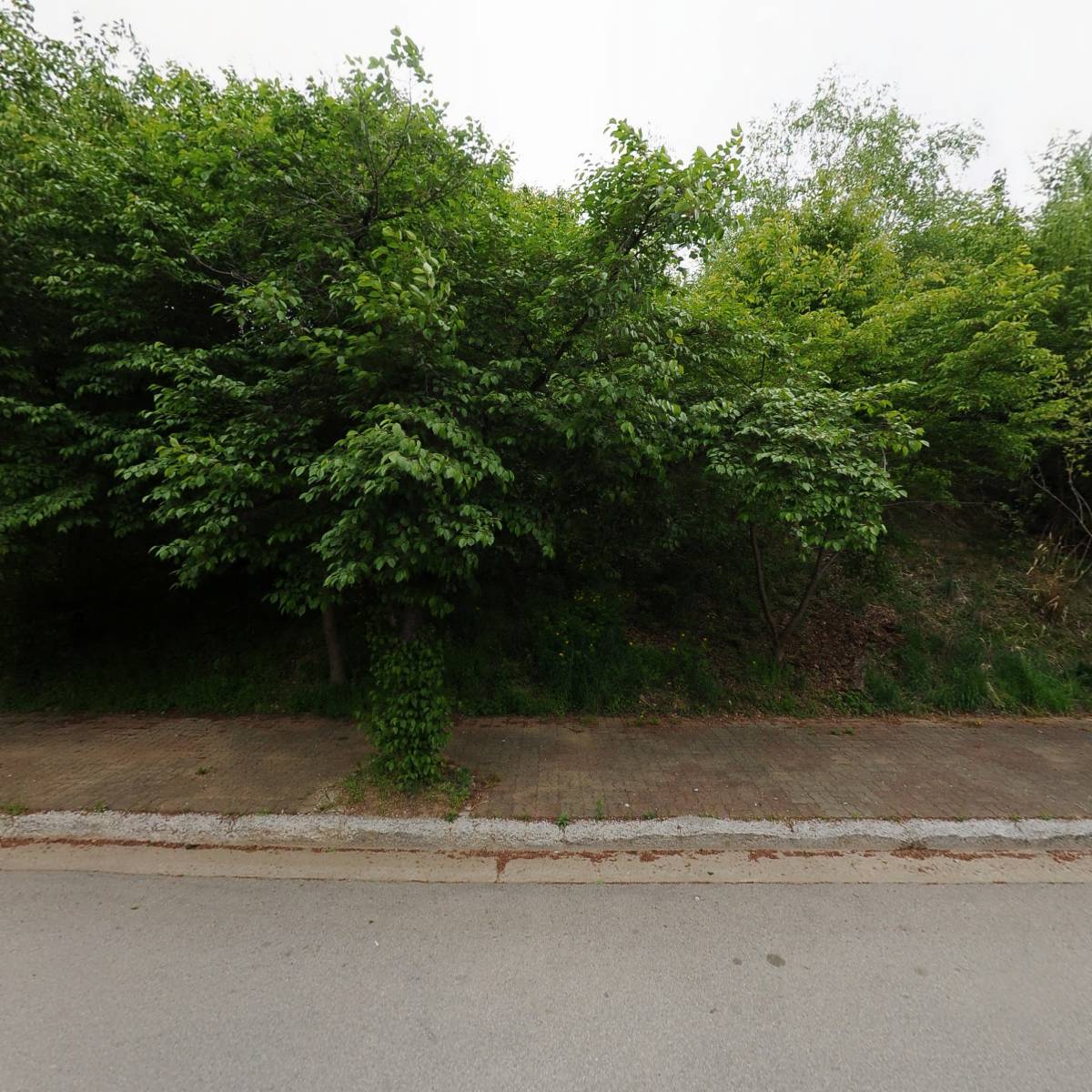 산에들에_3