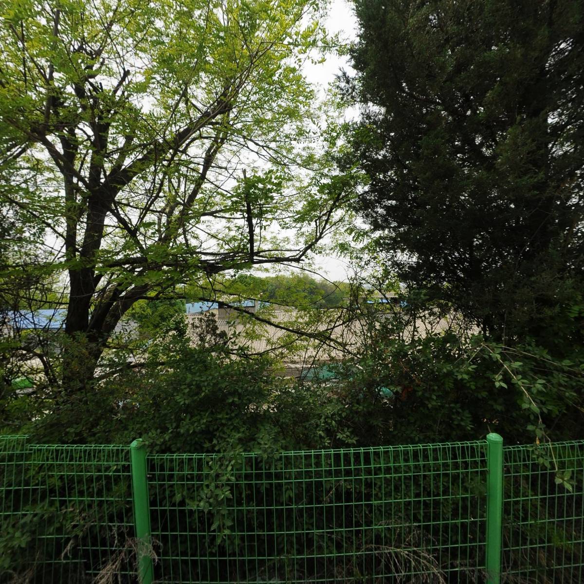 태화농장