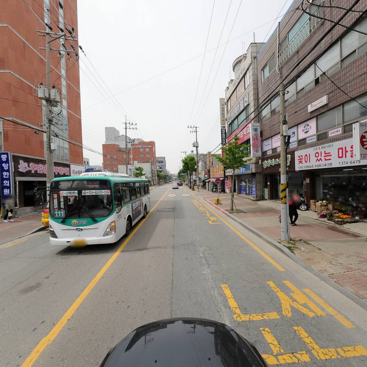 원종합동물병원_4