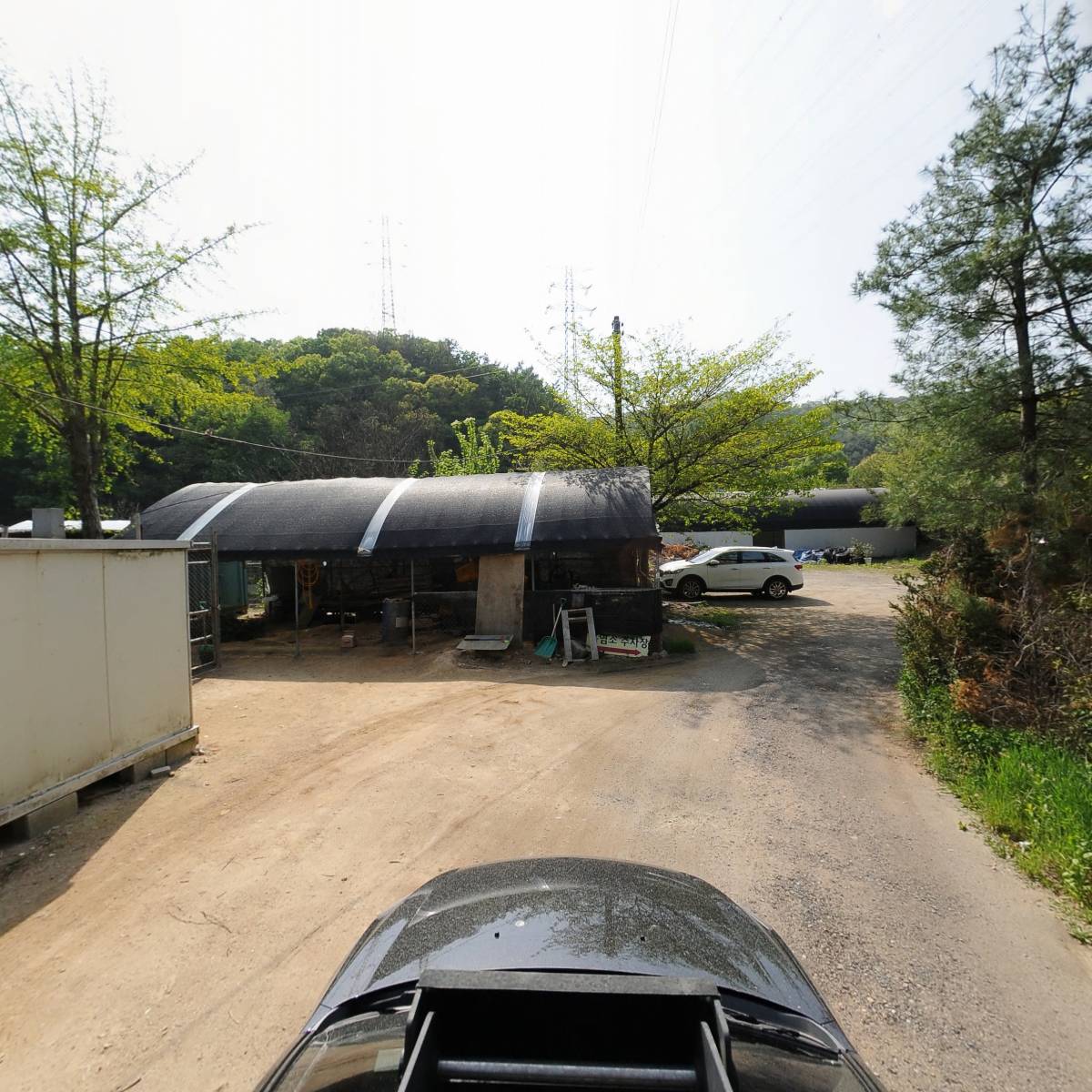 낙양흑염소_4