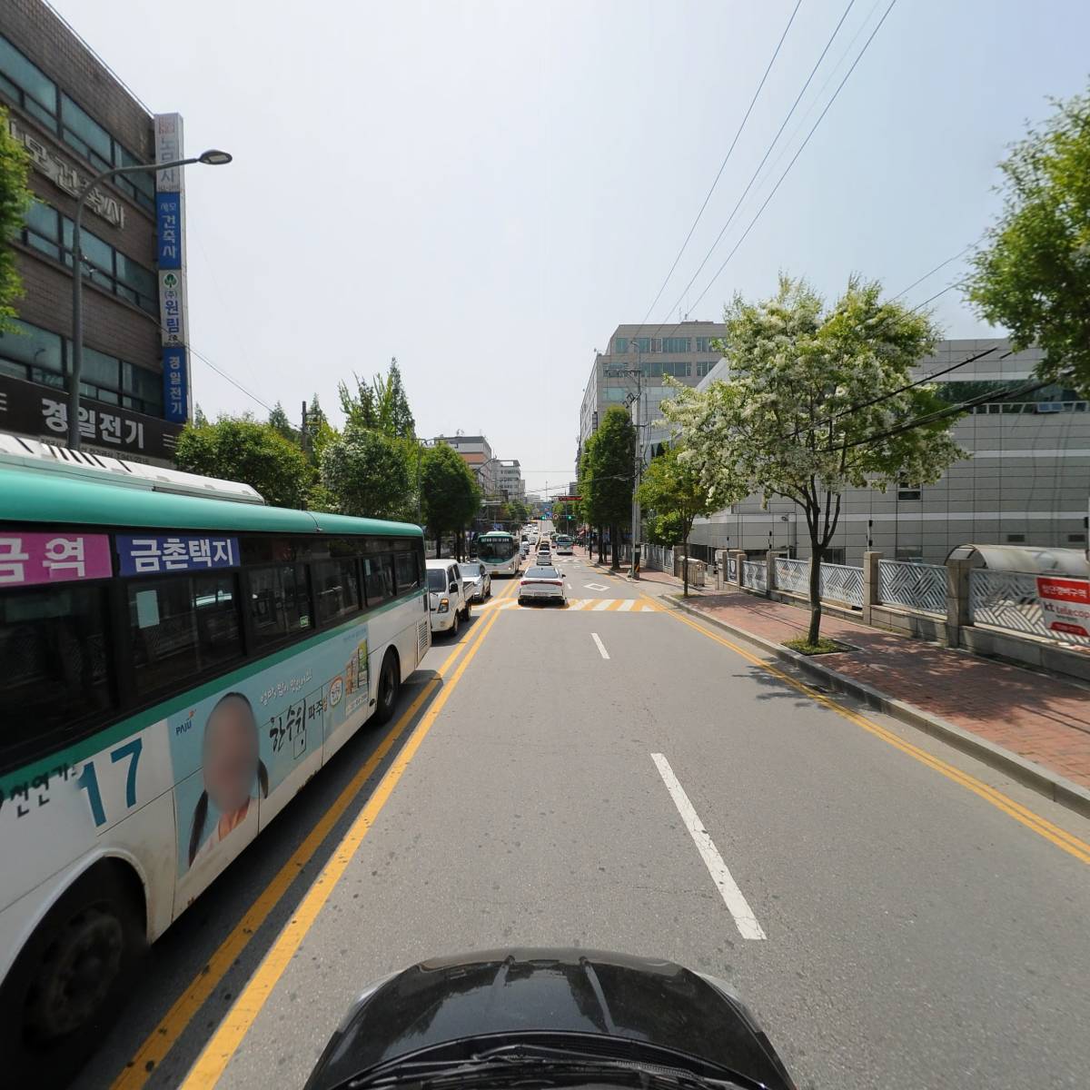 푸른동물병원_4
