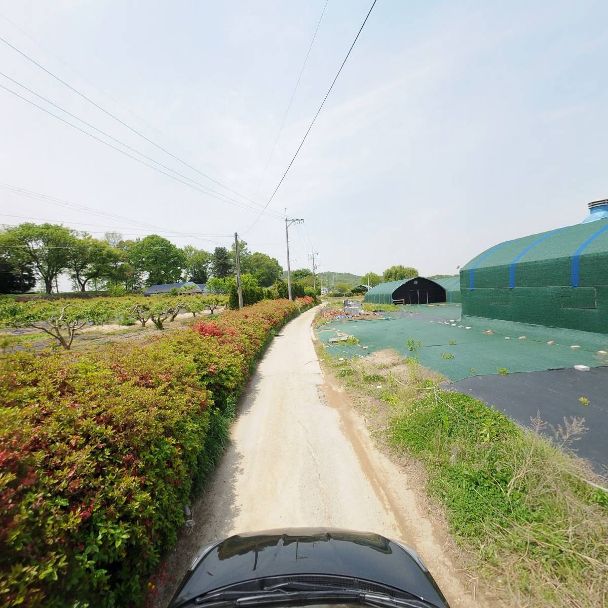 초평가배_4