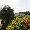 초평가배_3
